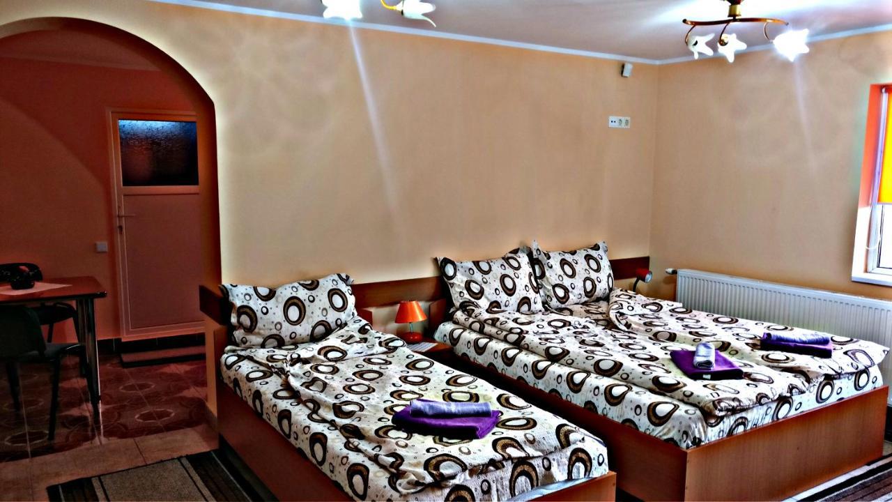 Lunca de Sus Picnic Panzio Bed & Breakfast エクステリア 写真
