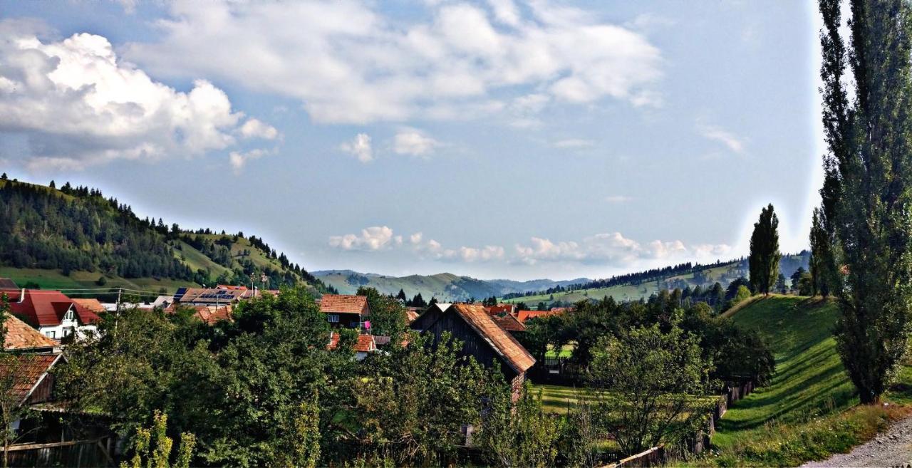 Lunca de Sus Picnic Panzio Bed & Breakfast エクステリア 写真