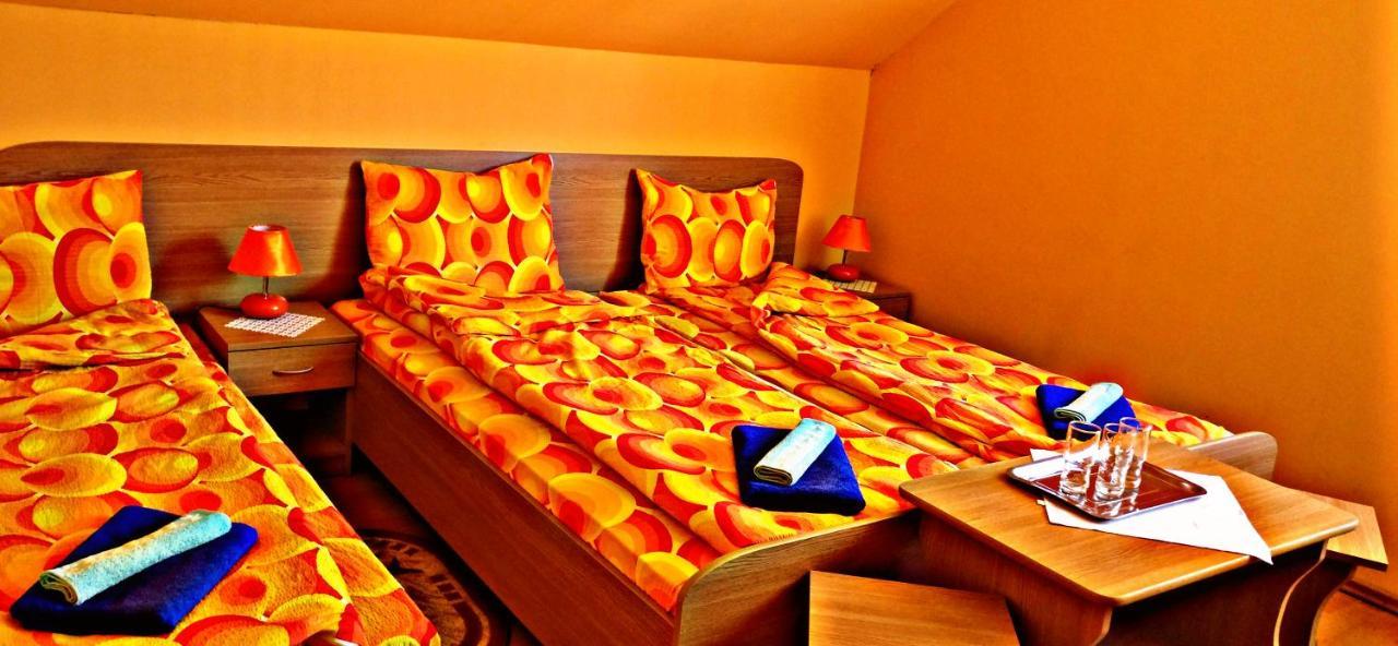 Lunca de Sus Picnic Panzio Bed & Breakfast エクステリア 写真