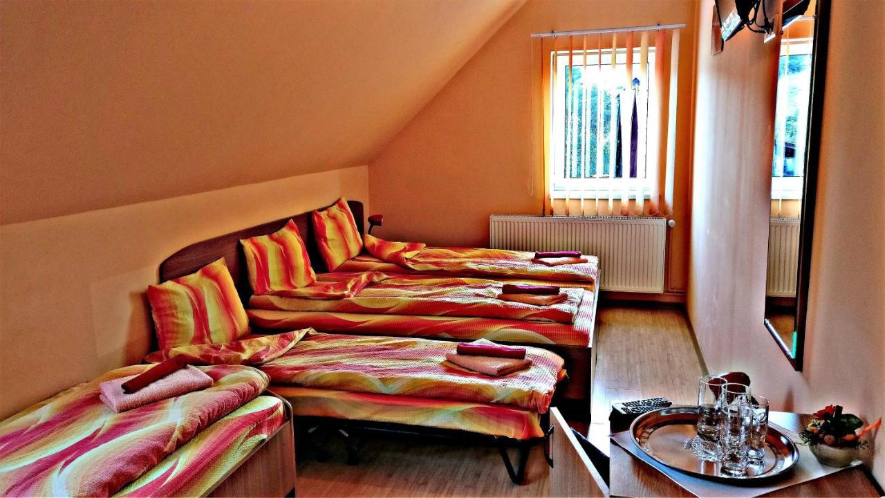 Lunca de Sus Picnic Panzio Bed & Breakfast エクステリア 写真