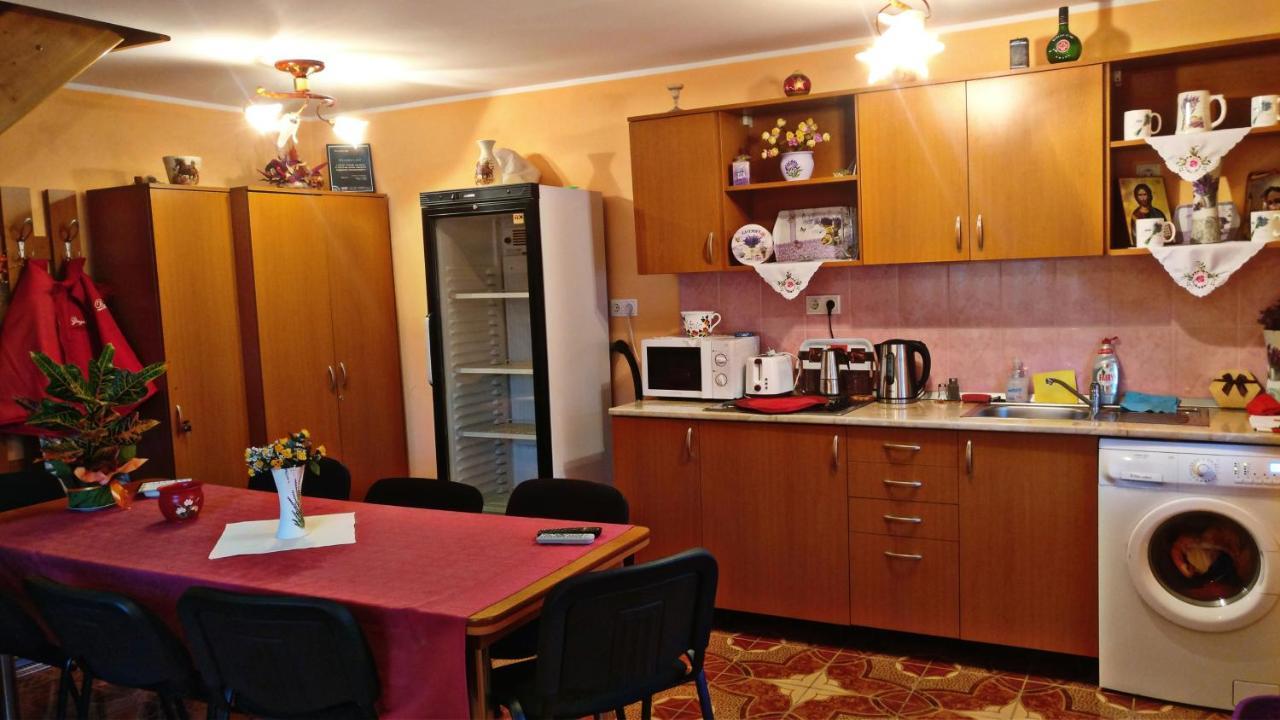 Lunca de Sus Picnic Panzio Bed & Breakfast エクステリア 写真